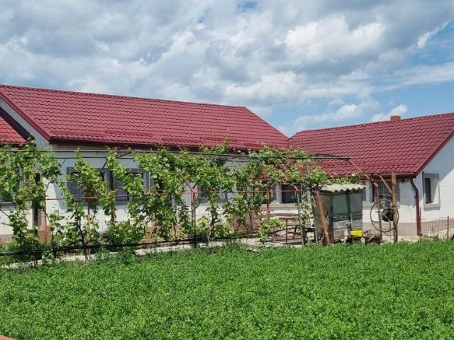 Casa Merei, renovata 2019