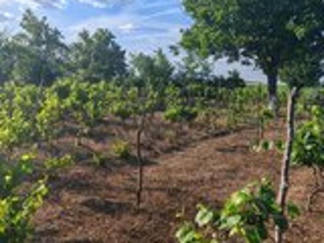 Casa Milosesti Casa de vanzare judetul Ialomita Comuna Milos anuntul. Ro