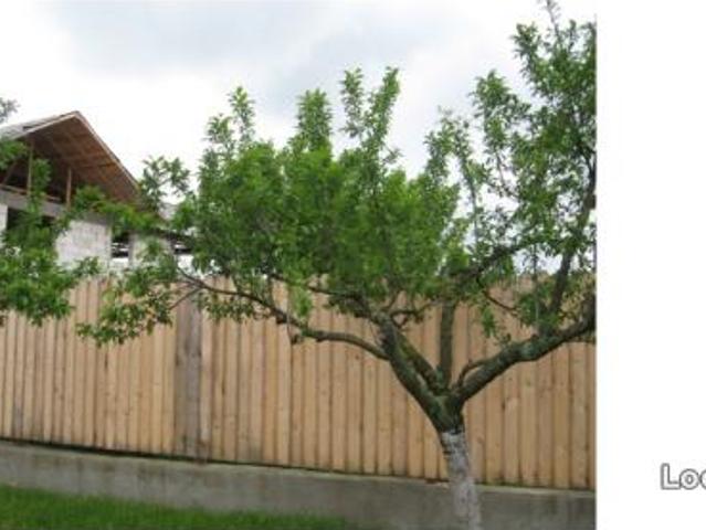 casa Mogosani