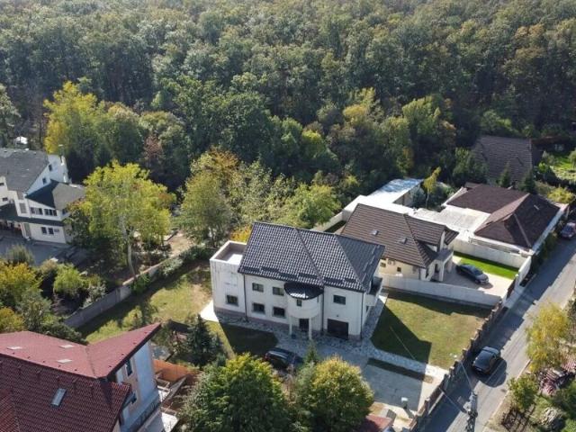 Casa Mogosoaia, vila la padure si DN anuntul. Ro