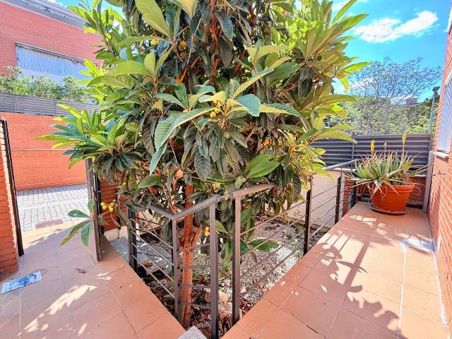 Casa adosada en Alquiler en Mas Lluí