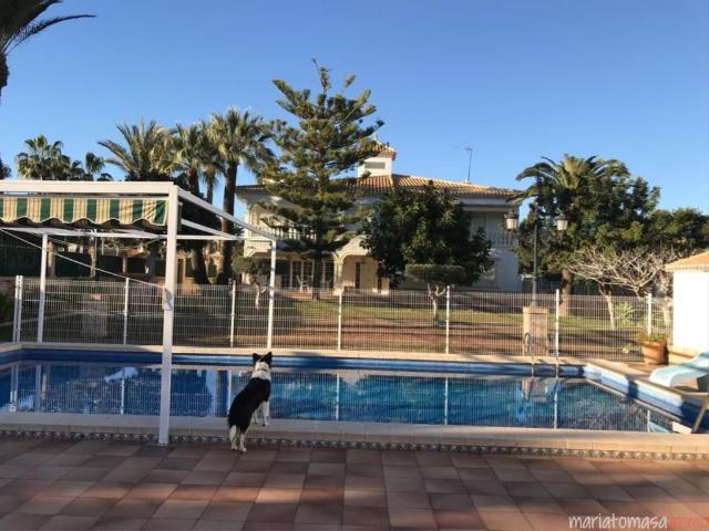 Casa adosada en venta Orihuela, España