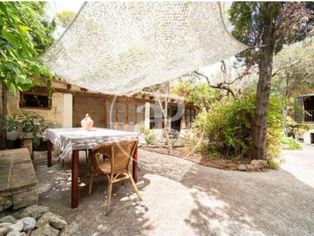 Casa Alquiler Selva, Selva