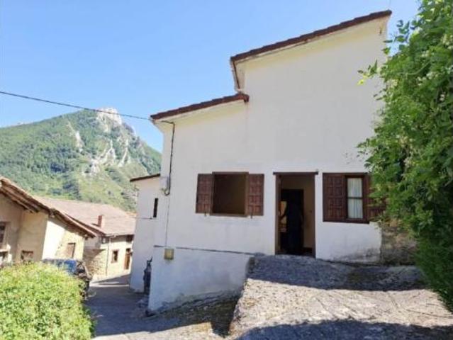 Casa Alquiler Vega de Liébana, Dobres
