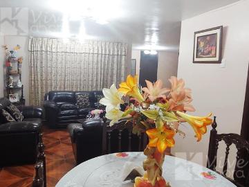 Casa Alto Selva Alegre