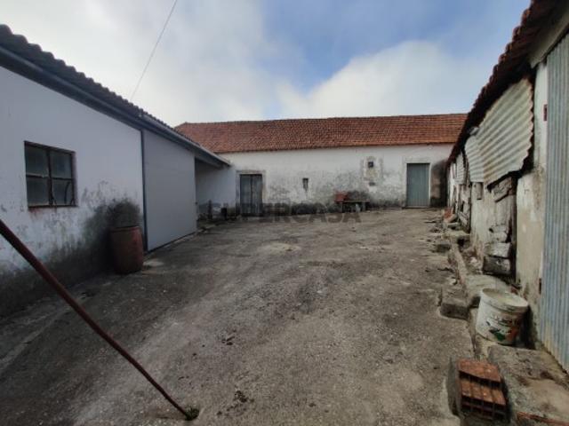 Casa antiga com adega e arrecadação