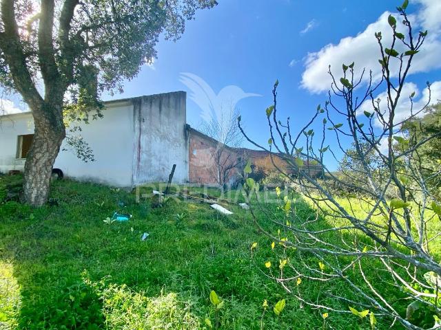 Casa antiga em Rio Maior