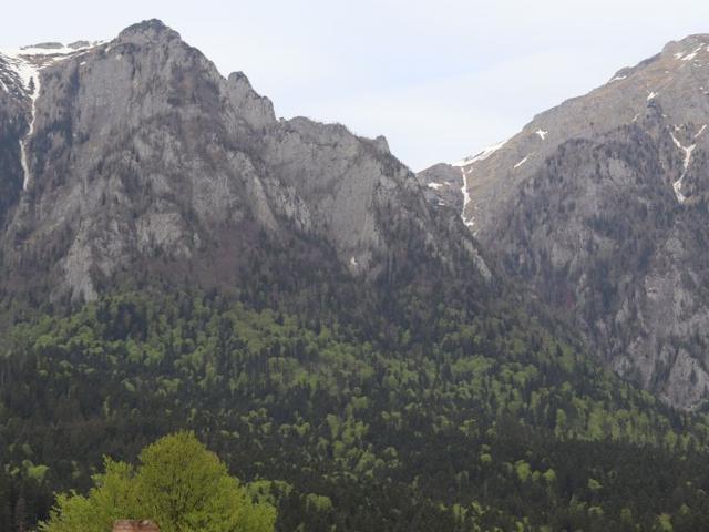 Casa Busteni