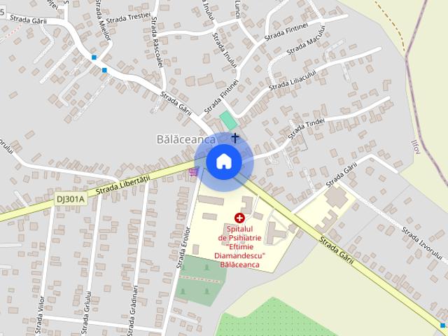 Casa, curte proprie, garaj i balaceanca