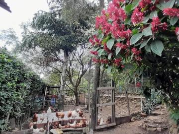 Casa Campestre EN ARRIENDO EN Cúcuta 56740 $3.000.000