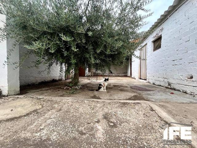 Casa chalet en Venta en Torres de Berrellén