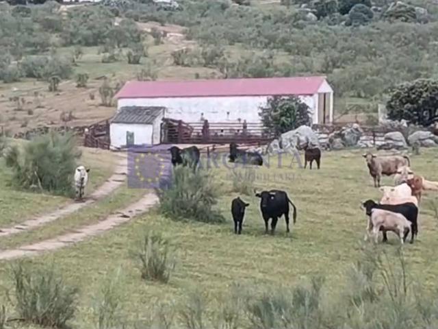 Casa chalet en Venta en Trujillo
