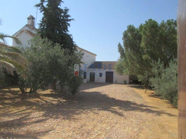 Casa chalet en Venta en Valdepeñas