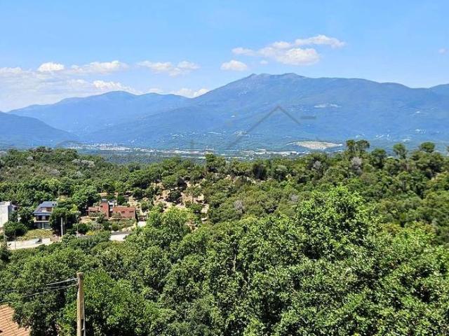 Casa chalet en Venta en Vallgorguina