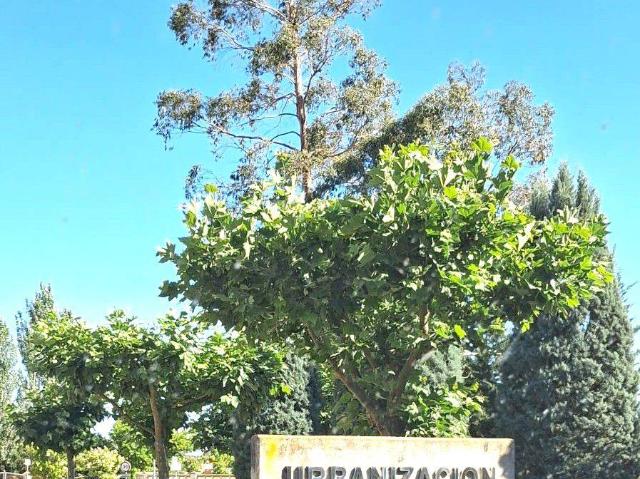 Casa chalet en Venta en Villanueva de Duero