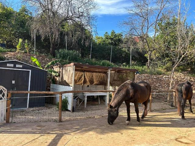 Casa chalet en Venta en Xirles
