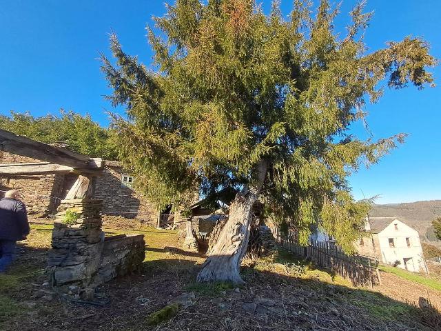 Casa chalet en Venta en A Fonsagrada