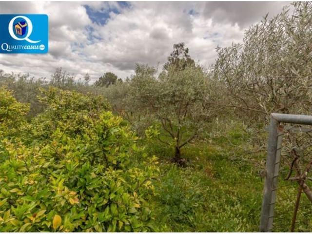 Casa Chalet en Venta en Agost Alicante Ref: 57078