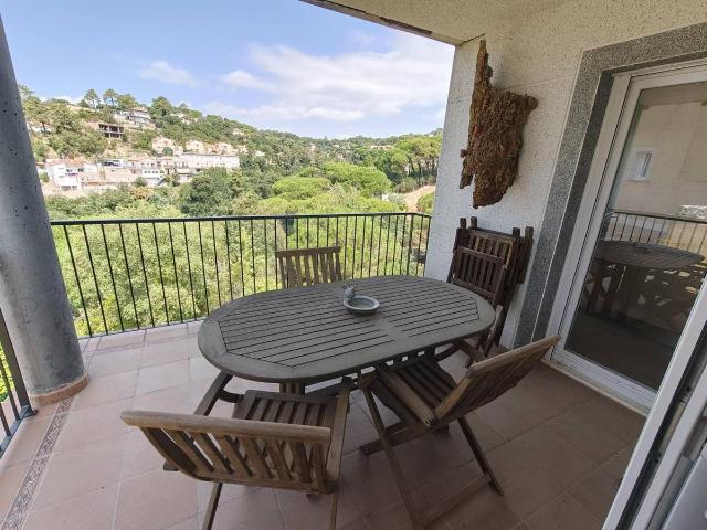 Casa chalet en Venta en Aiguaviva Parc
