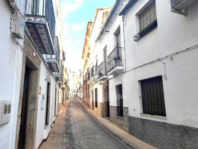 Casa chalet en Venta en Alburquerque