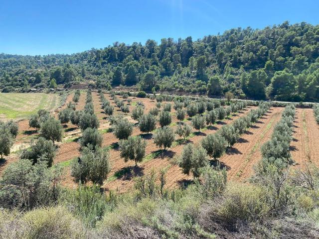 Casa chalet en Venta en Alcañiz