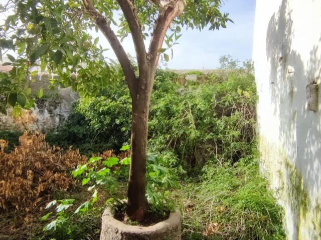 Casa chalet en Venta en Aldea del Cano
