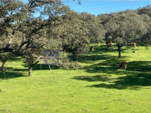 Casa chalet en Venta en Aliseda