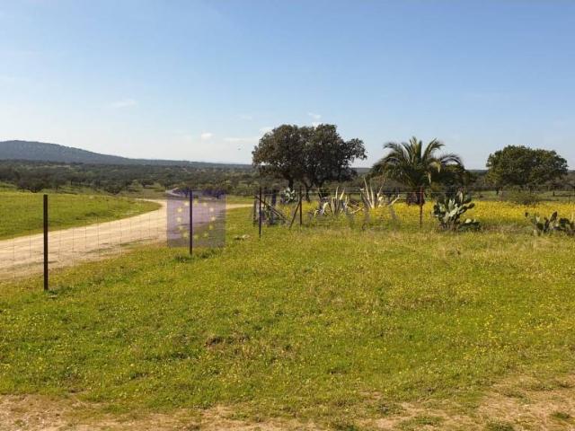 Casa chalet en Venta en Aliseda