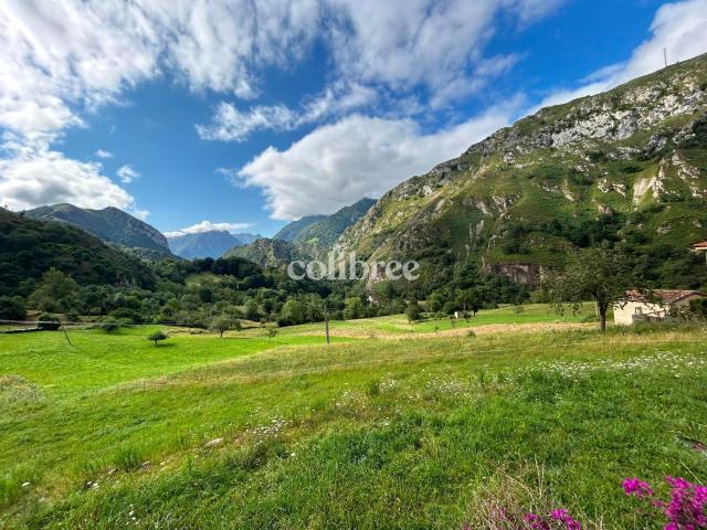 Casa chalet en Venta en Amieva