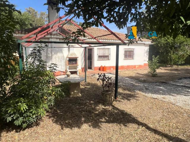 Casa chalet en Venta en Barrio Nuevo