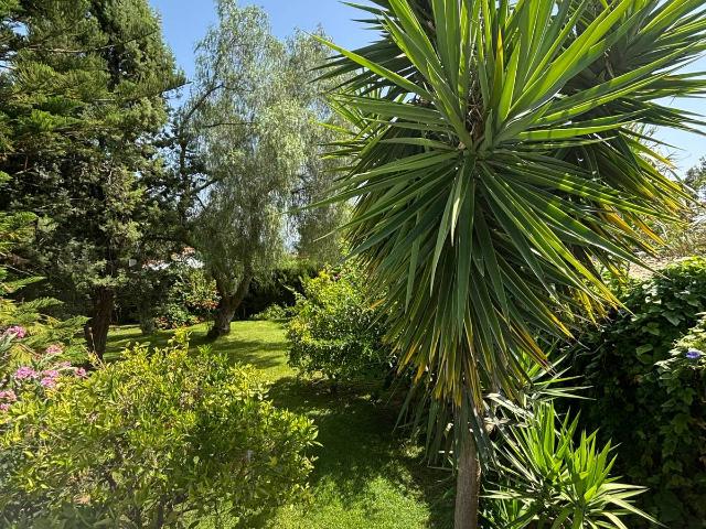 Casa chalet en Venta en Camí de Paterna Lloma del Calderer