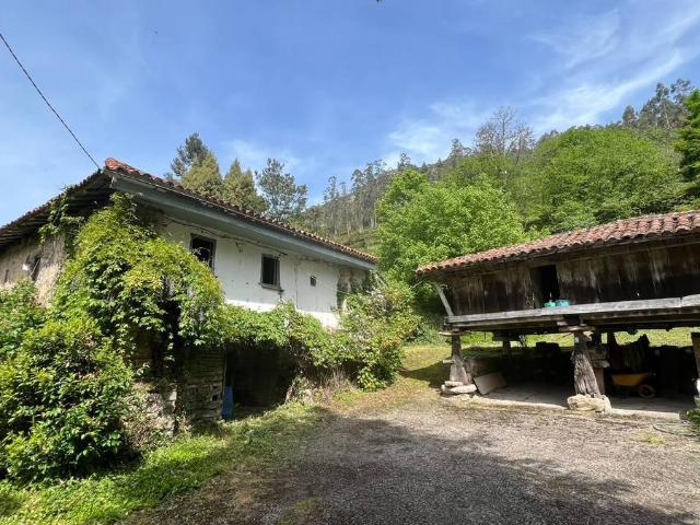 Casa chalet en Venta en Cangas de Onís