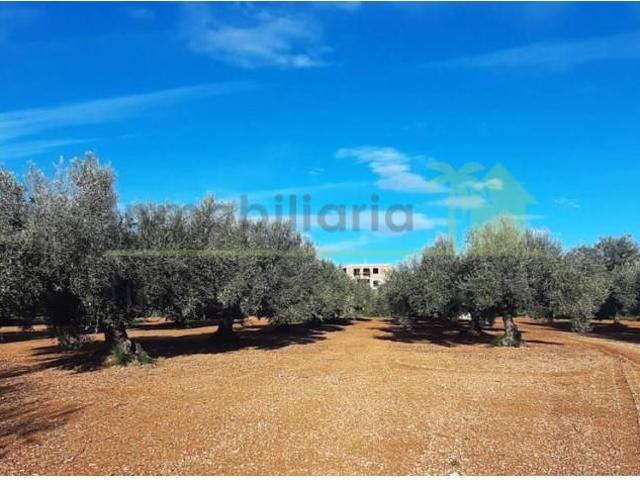 Casa chalet en Venta en Càlig