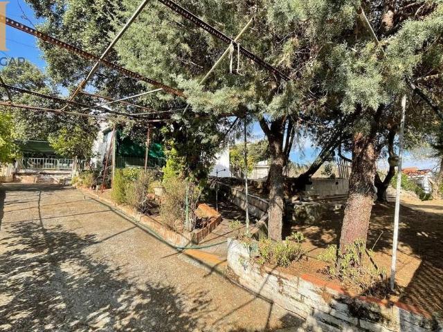 Casa chalet en Venta en Cardiel de los Montes