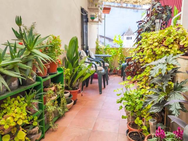 Casa chalet en Venta en Casco Antiguo