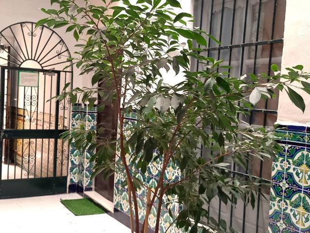 Casa chalet en Venta en Casco Histórico Ribera del Marisco