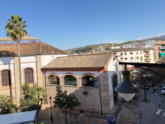 Casa chalet en Venta en Centro