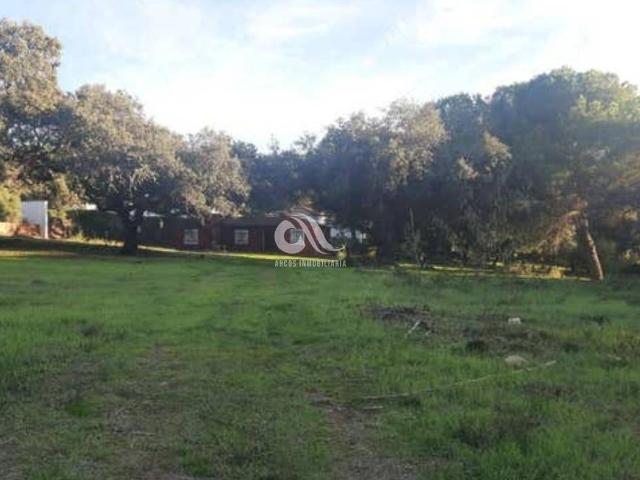 Casa chalet en Venta en Cerro Muriano