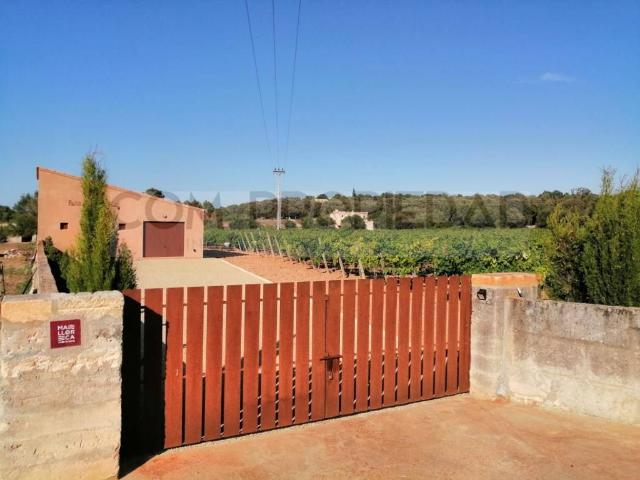 Casa chalet en Venta en Costitx