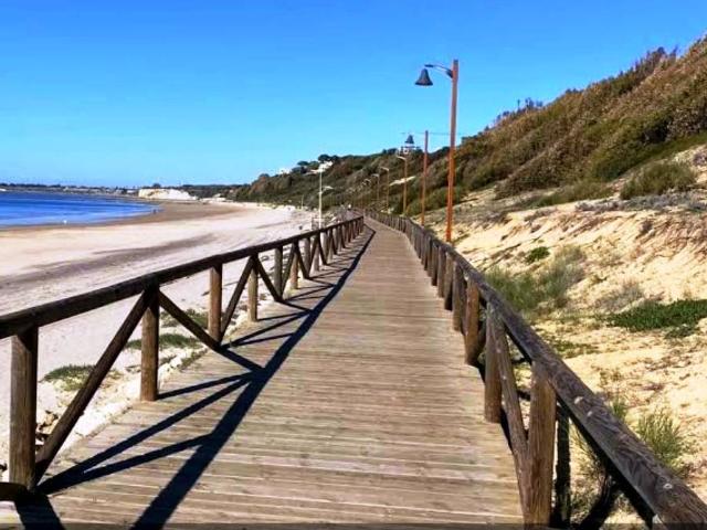 Casa chalet en Venta en Cuatro Pinos El Carmen