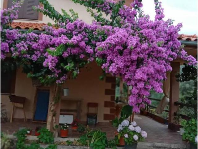 Casa chalet en Venta en El Torno