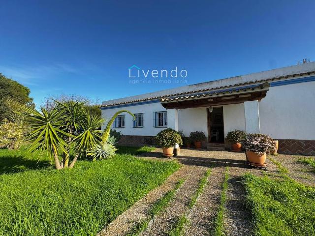 Casa chalet en Venta en El Palmar