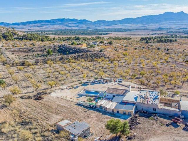 Casa chalet en Venta en El Pinós / Pinoso