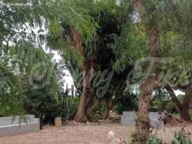 Casa Chalet en Venta en Elche Alicante