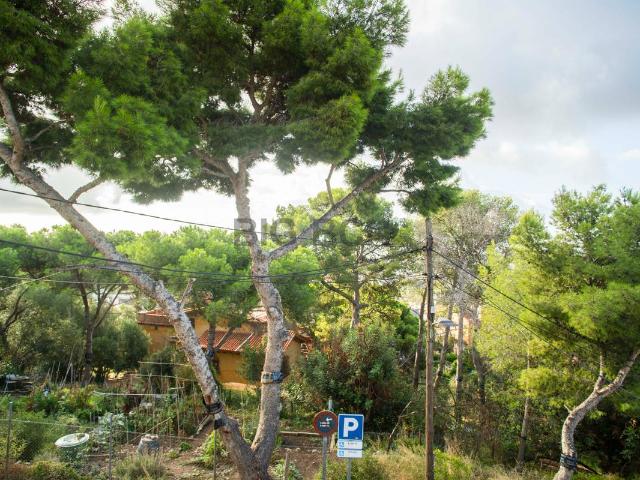 Casa chalet en Venta en Finestrelles