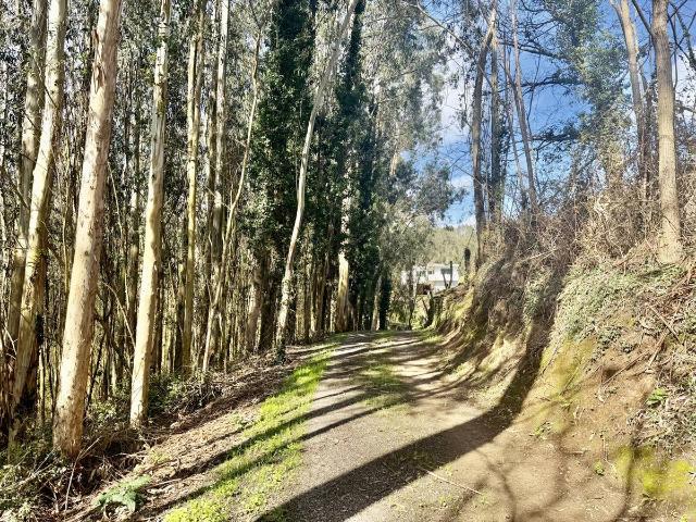 Casa chalet en Venta en Hazas de Cesto