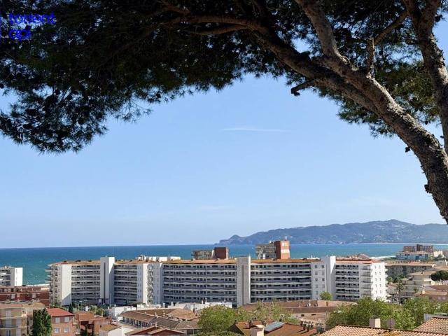 Casa chalet en Venta en L'Estartit Poble