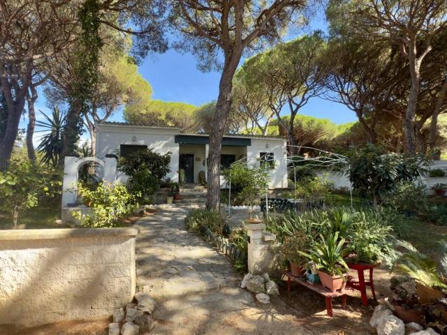 Casa chalet en Venta en Los Franceses – La Vega