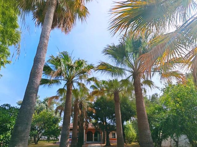 Casa chalet en Venta en Los Franceses – La Vega