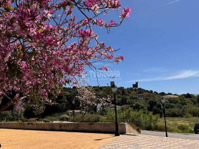 Casa chalet en Venta en Los Pacos